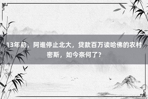 13年前，阿谁停止北大，贷款百万读哈佛的农村密斯，如今奈何了？