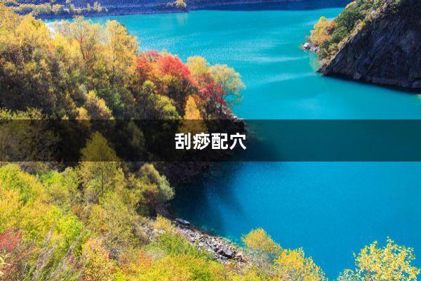 刮痧配穴