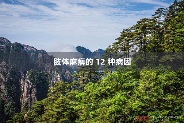 肢体麻痹的 12 种病因