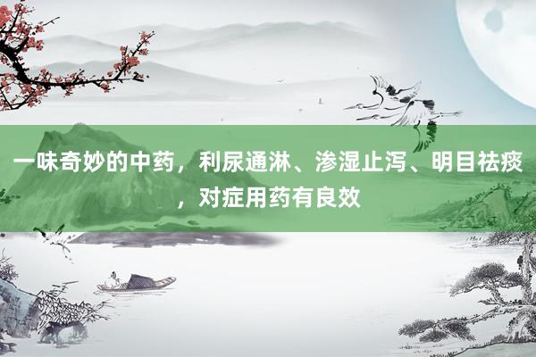 一味奇妙的中药，利尿通淋、渗湿止泻、明目祛痰，对症用药有良效