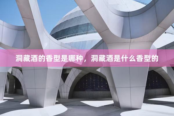 洞藏酒的香型是哪种，洞藏酒是什么香型的