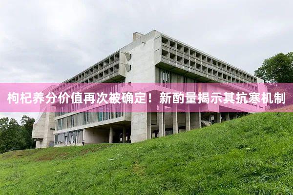 枸杞养分价值再次被确定！新酌量揭示其抗寒机制
