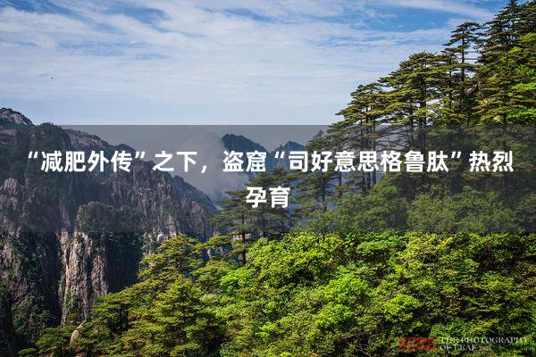 “减肥外传”之下，盗窟“司好意思格鲁肽”热烈孕育