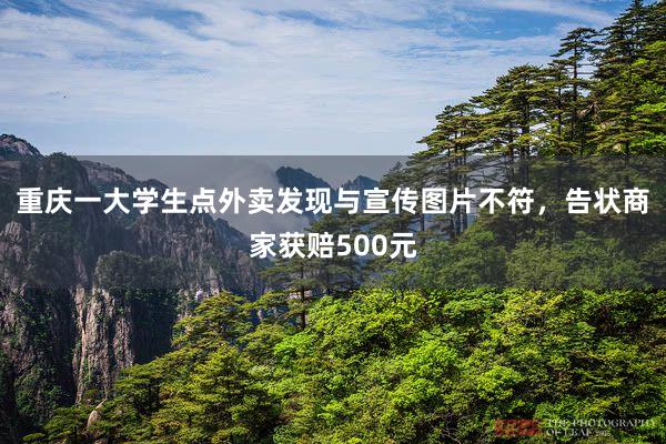 重庆一大学生点外卖发现与宣传图片不符，告状商家获赔500元