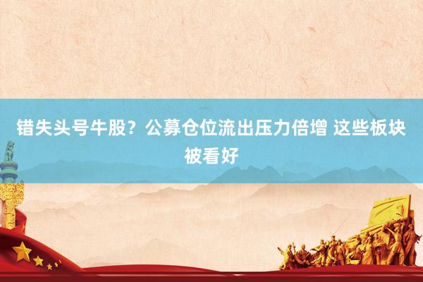错失头号牛股？公募仓位流出压力倍增 这些板块被看好