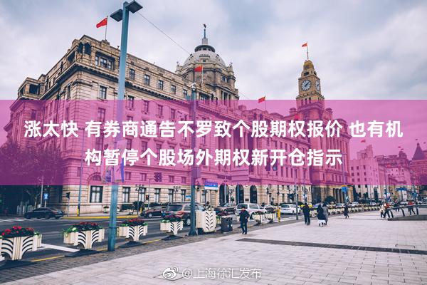 涨太快 有券商通告不罗致个股期权报价 也有机构暂停个股场外期权新开仓指示
