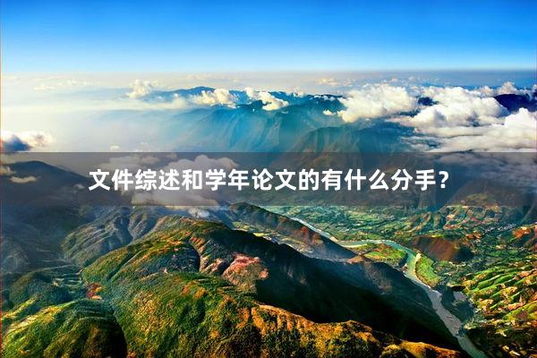 文件综述和学年论文的有什么分手？