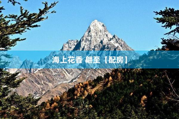 海上花香 翩至【配房】