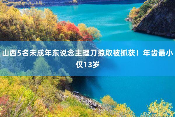 山西5名未成年东说念主理刀掠取被抓获！年齿最小仅13岁