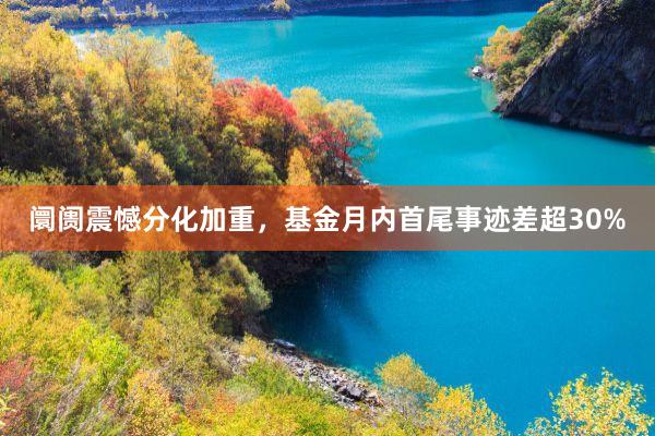 阛阓震憾分化加重，基金月内首尾事迹差超30%
