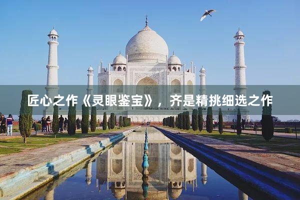 匠心之作《灵眼鉴宝》，齐是精挑细选之作