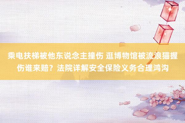 乘电扶梯被他东说念主撞伤 逛博物馆被流浪猫握伤谁来赔？法院详解安全保险义务合理鸿沟