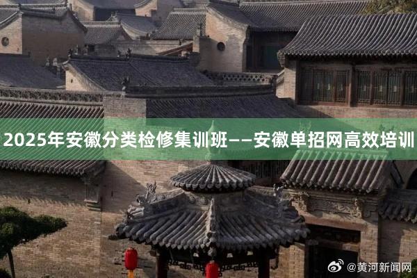 2025年安徽分类检修集训班——安徽单招网高效培训
