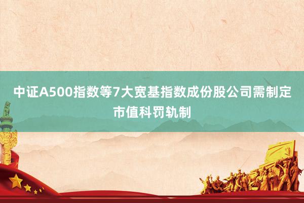 中证A500指数等7大宽基指数成份股公司需制定市值科罚轨制