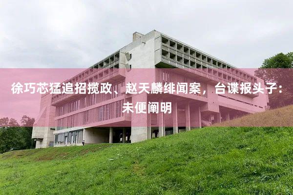 徐巧芯猛追招揽政、赵天麟绯闻案，台谍报头子：未便阐明