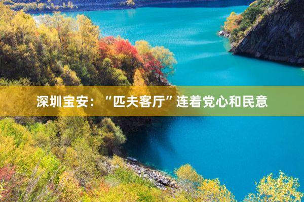 深圳宝安：“匹夫客厅”连着党心和民意