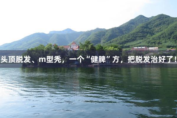 头顶脱发、m型秃，一个“健脾”方，把脱发治好了！
