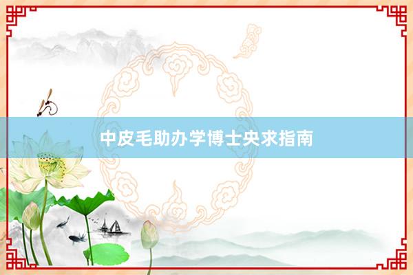 中皮毛助办学博士央求指南
