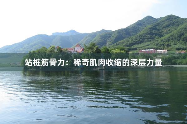 站桩筋骨力：稀奇肌肉收缩的深层力量