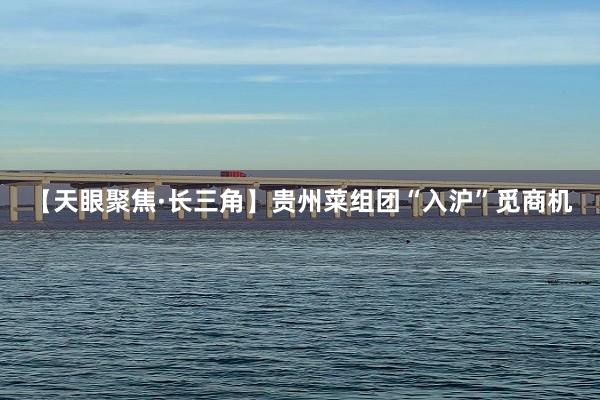 【天眼聚焦·长三角】贵州菜组团“入沪”觅商机